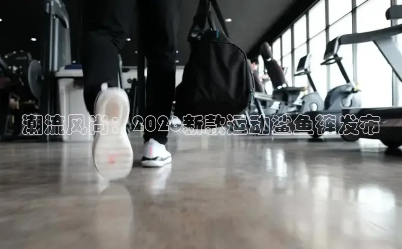 门徒娱乐在线登录